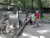 20120809_111706_zoo-w-krakowie