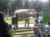 20120809_130104_zoo-w-krakowie